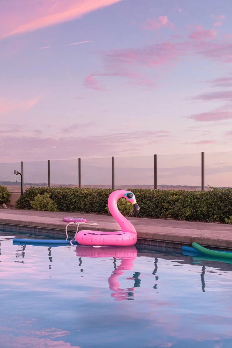 Flamingo Pool Float